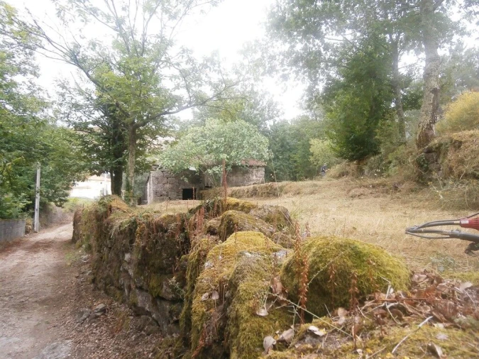 Quinta T3 para Venda em Verim, Friande e Ajude Foto 2