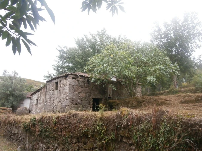 Quinta T3 para Venda em Verim, Friande e Ajude Foto 3