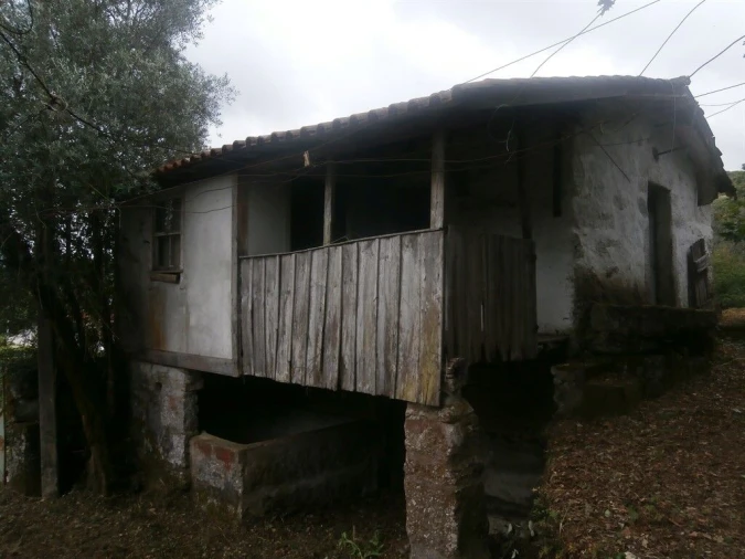 Quinta T3 para Venda em Verim, Friande e Ajude Foto 4