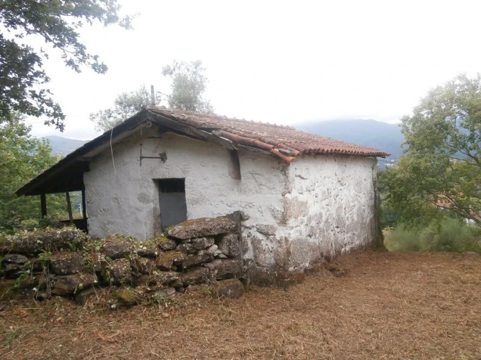 Quinta T3 para Venda em Verim, Friande e Ajude Foto 5