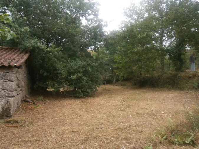 Quinta T3 para Venda em Verim, Friande e Ajude Foto 7