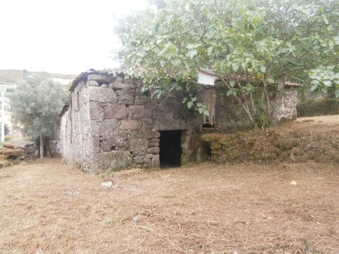 Quinta T3 para Venda em Verim, Friande e Ajude Foto 9