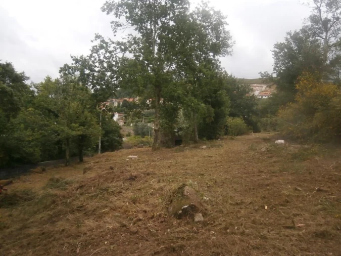 Quinta T3 para Venda em Verim, Friande e Ajude Foto 13