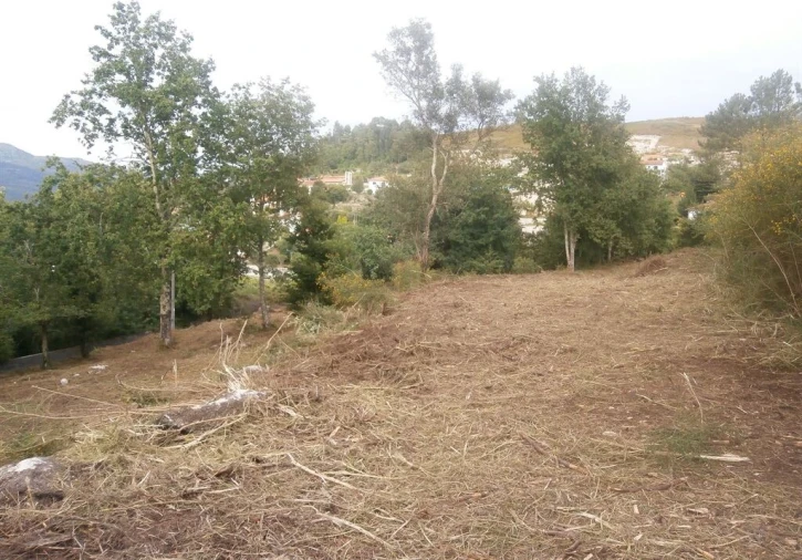 Quinta T3 para Venda em Verim, Friande e Ajude Foto 14