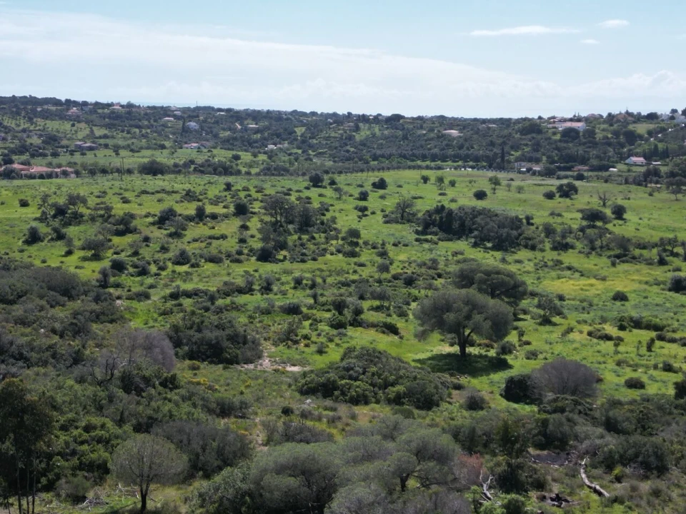 Terreno para Venda em Lagoa e Carvoeiro Foto 8