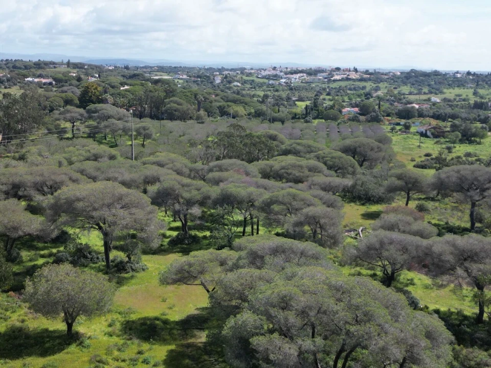 Terreno para Venda em Lagoa e Carvoeiro Foto 9