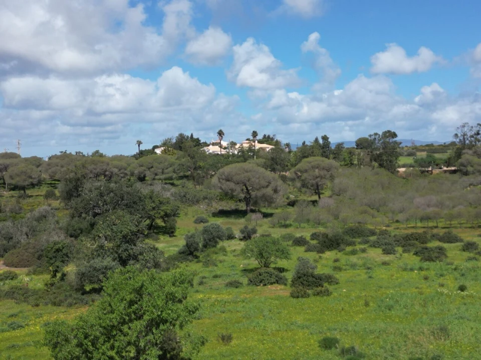 Terreno para Venda em Lagoa e Carvoeiro Foto 11