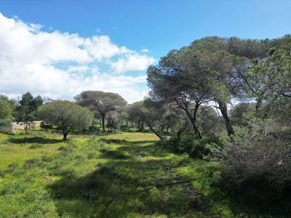Terreno para Venda em Lagoa e Carvoeiro Foto 6
