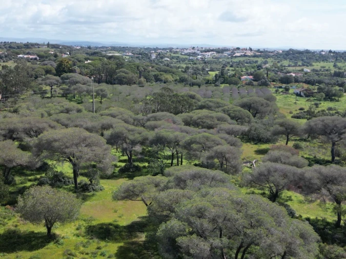 Terreno para Venda em Lagoa e Carvoeiro Foto 9