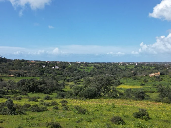 Terreno para Venda em Lagoa e Carvoeiro Foto 12