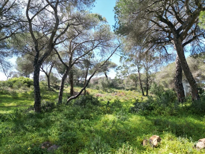 Terreno para Venda em Lagoa e Carvoeiro Foto 14