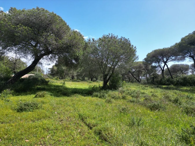 Terreno para Venda em Lagoa e Carvoeiro Foto 15