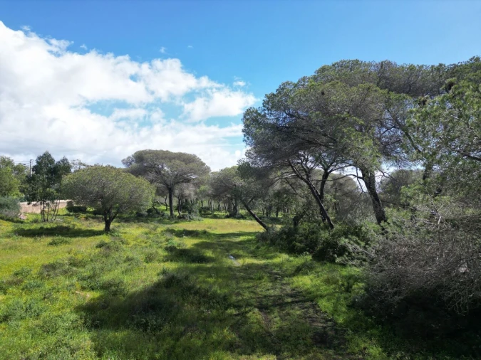 Terreno para Venda em Lagoa e Carvoeiro Foto 17