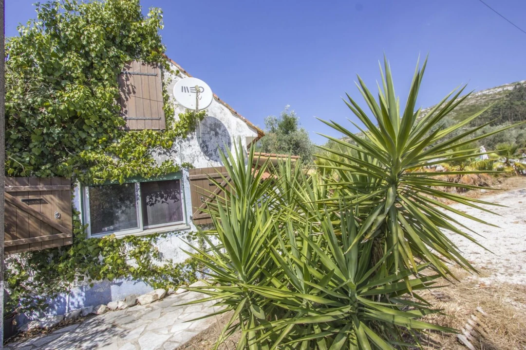 Quinta T3 para Venda em Arrimal e Mendiga Foto 14