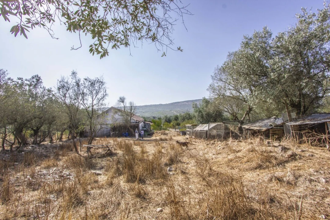 Quinta T3 para Venda em Arrimal e Mendiga Foto 24