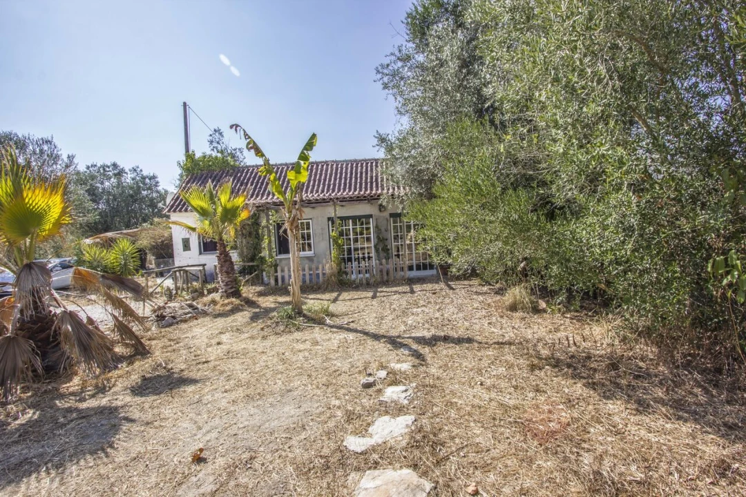 Quinta T3 para Venda em Arrimal e Mendiga Foto 33