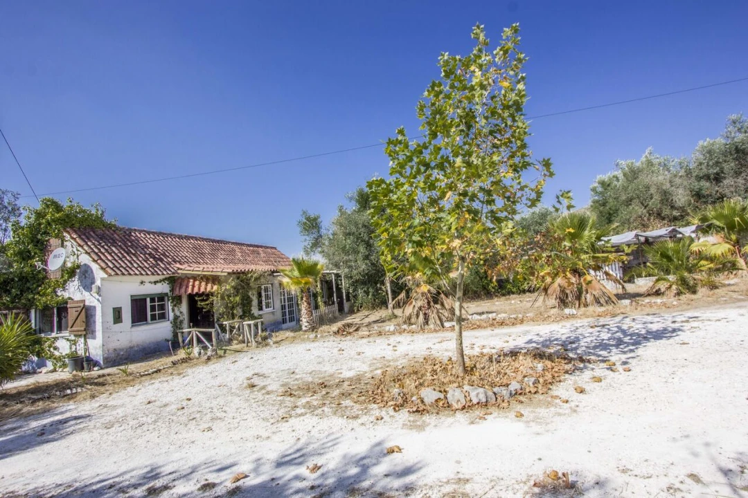 Quinta T3 para Venda em Arrimal e Mendiga Foto 37