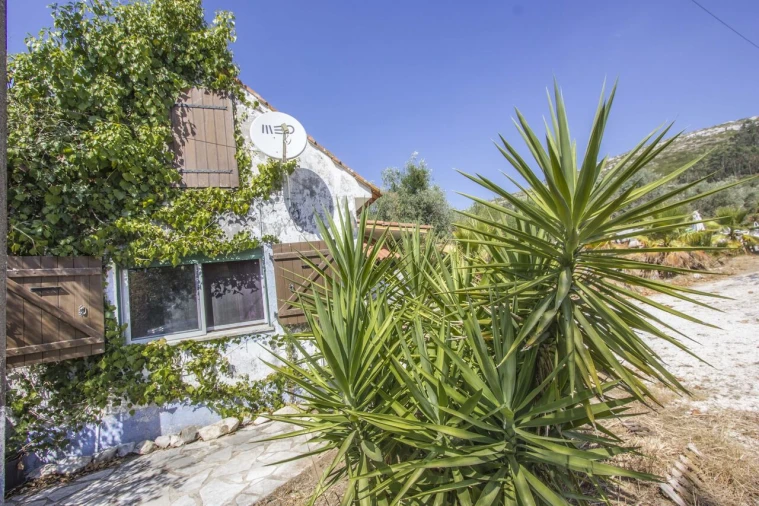 Quinta T3 para Venda em Arrimal e Mendiga Foto 14