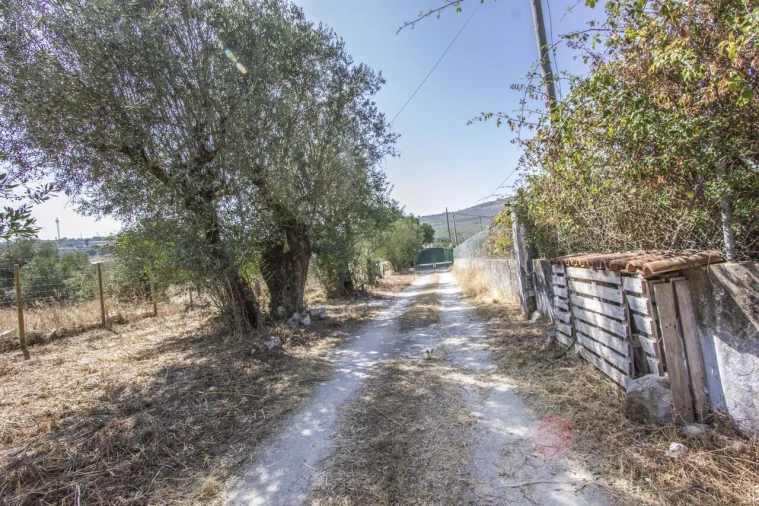 Quinta T3 para Venda em Arrimal e Mendiga Foto 23