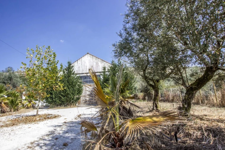 Quinta T3 para Venda em Arrimal e Mendiga Foto 25