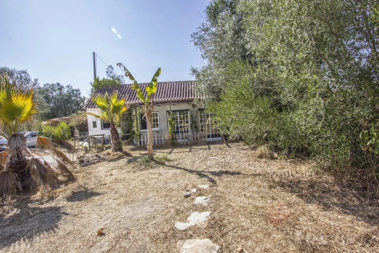 Quinta T3 para Venda em Arrimal e Mendiga Foto 33