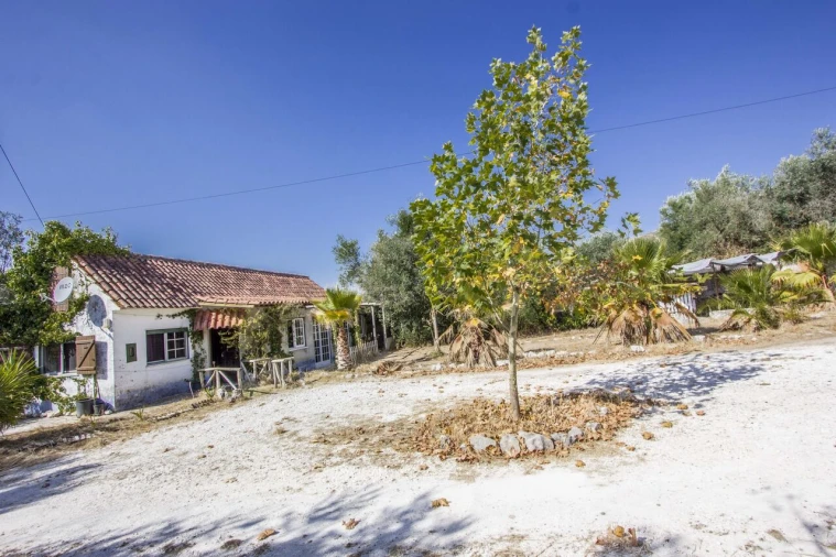 Quinta T3 para Venda em Arrimal e Mendiga Foto 37