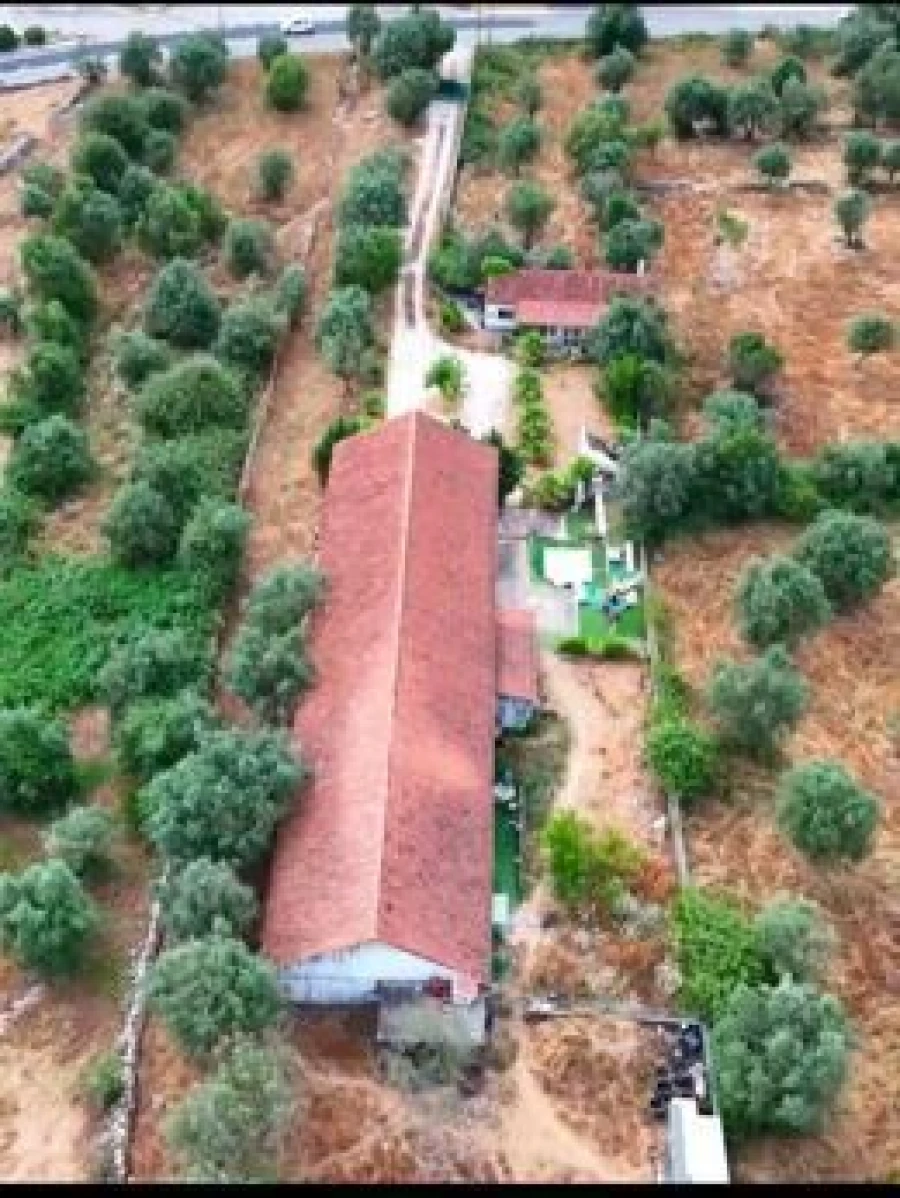 Quinta T3 para Venda em Arrimal e Mendiga Foto 42