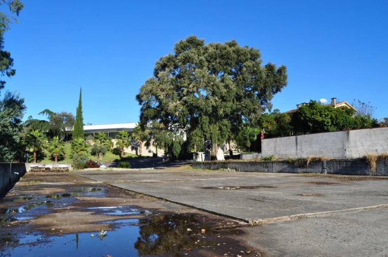 Quinta T3 para Venda em Celeirós, Aveleda e Vimieiro Foto 58