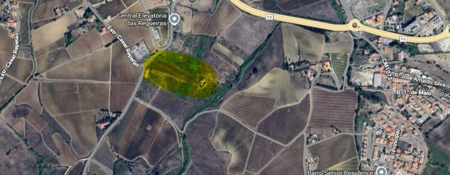 Quinta T1 para Venda em Santa Maria, São Pedro e Matacães Foto 29