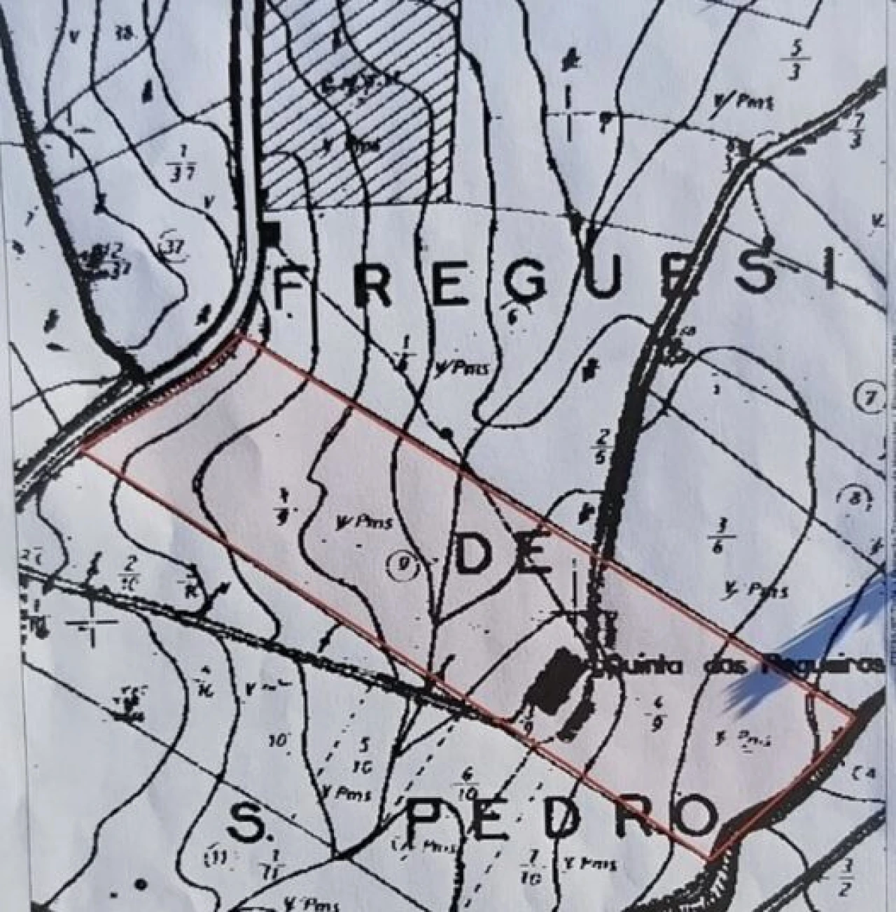 Quinta T1 para Venda em Santa Maria, São Pedro e Matacães Foto 30