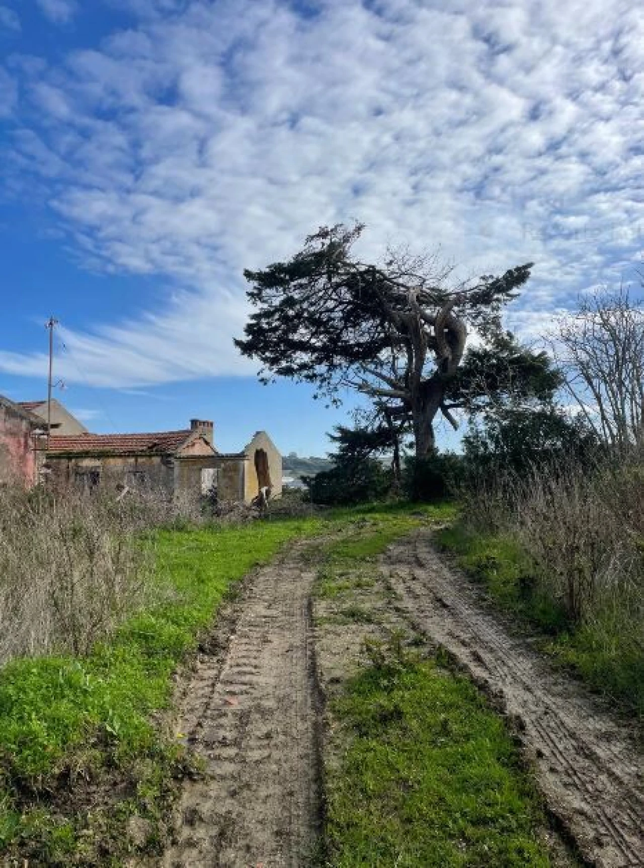 Quinta T1 para Venda em Santa Maria, São Pedro e Matacães Foto 1