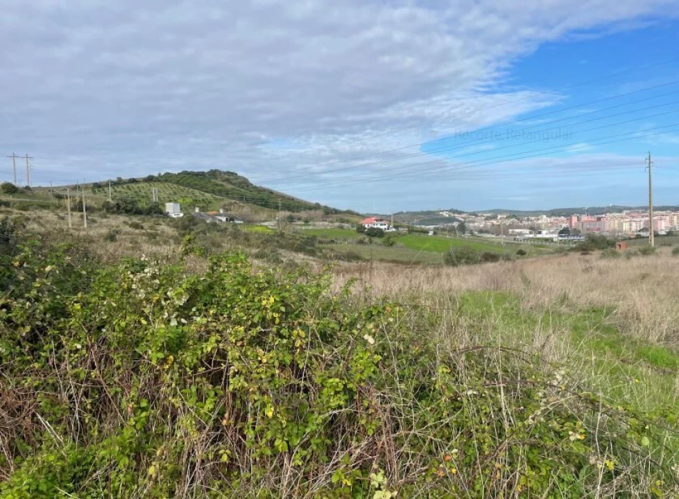 Quinta T1 para Venda em Santa Maria, São Pedro e Matacães Foto 4