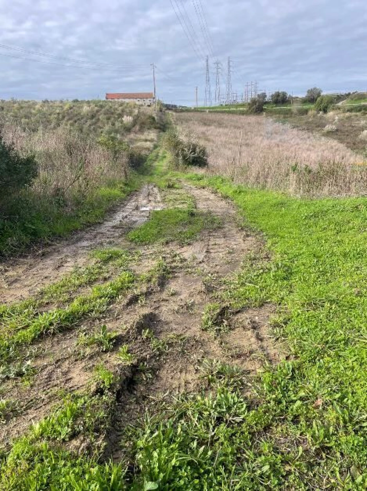 Quinta T1 para Venda em Santa Maria, São Pedro e Matacães Foto 6