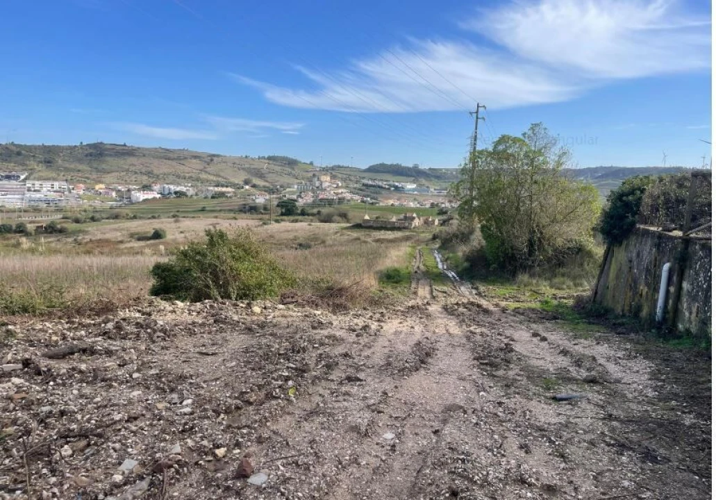 Quinta T1 para Venda em Santa Maria, São Pedro e Matacães Foto 7