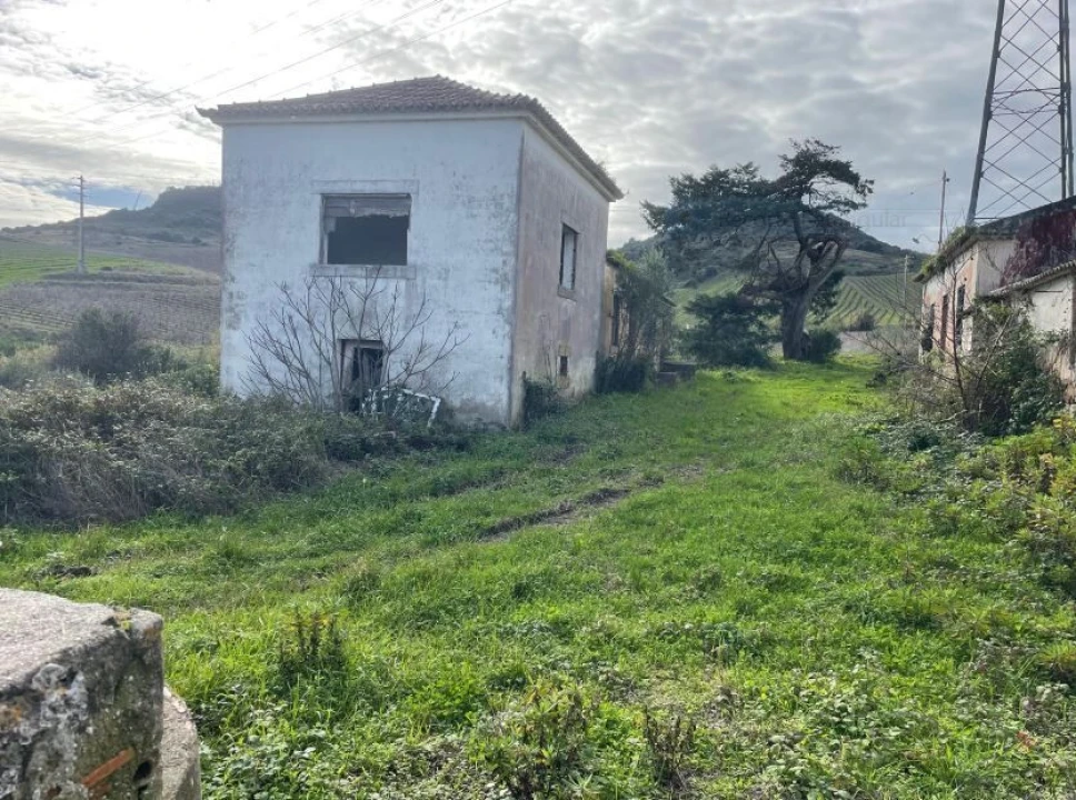 Quinta T1 para Venda em Santa Maria, São Pedro e Matacães Foto 21