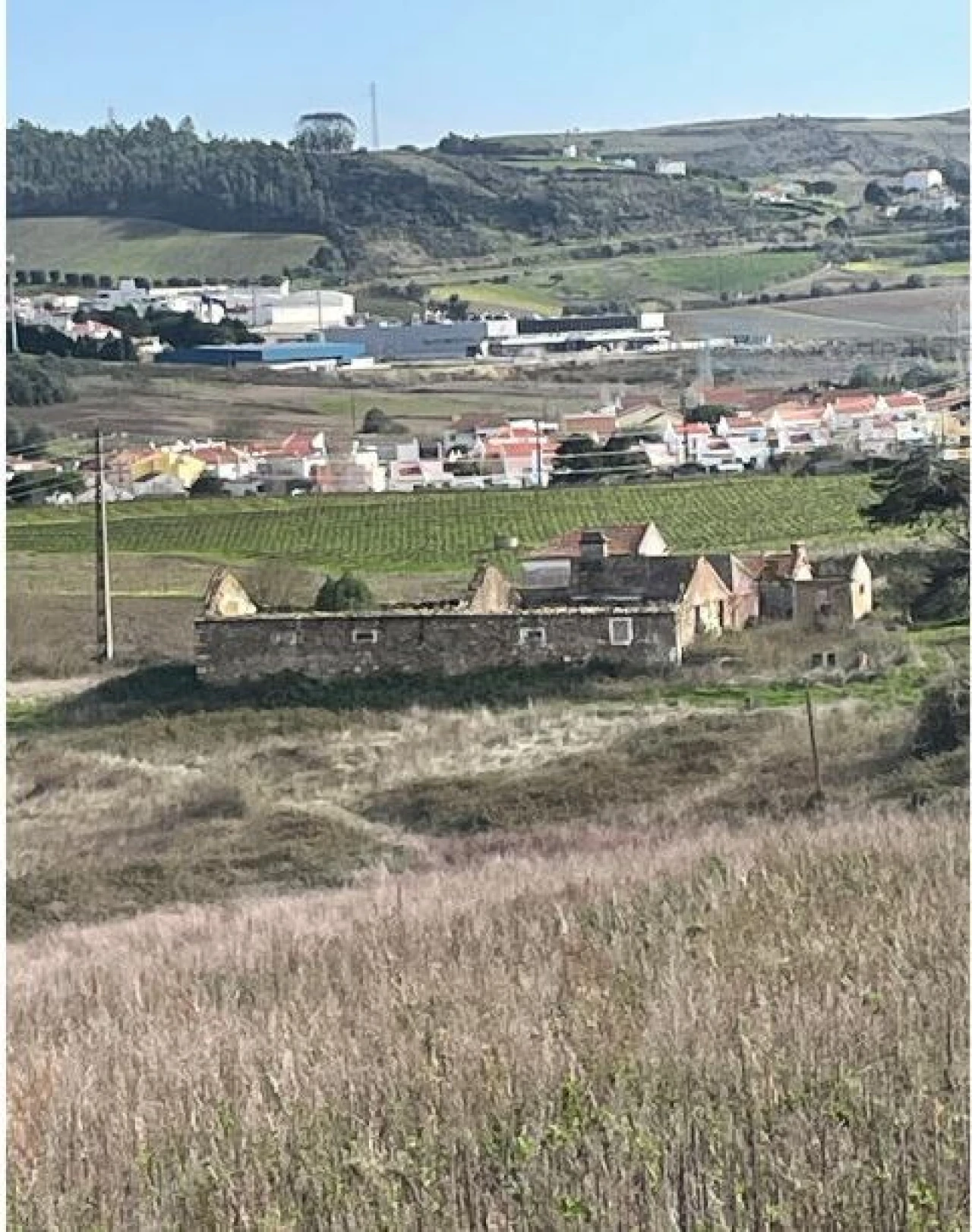 Quinta T1 para Venda em Santa Maria, São Pedro e Matacães Foto 26
