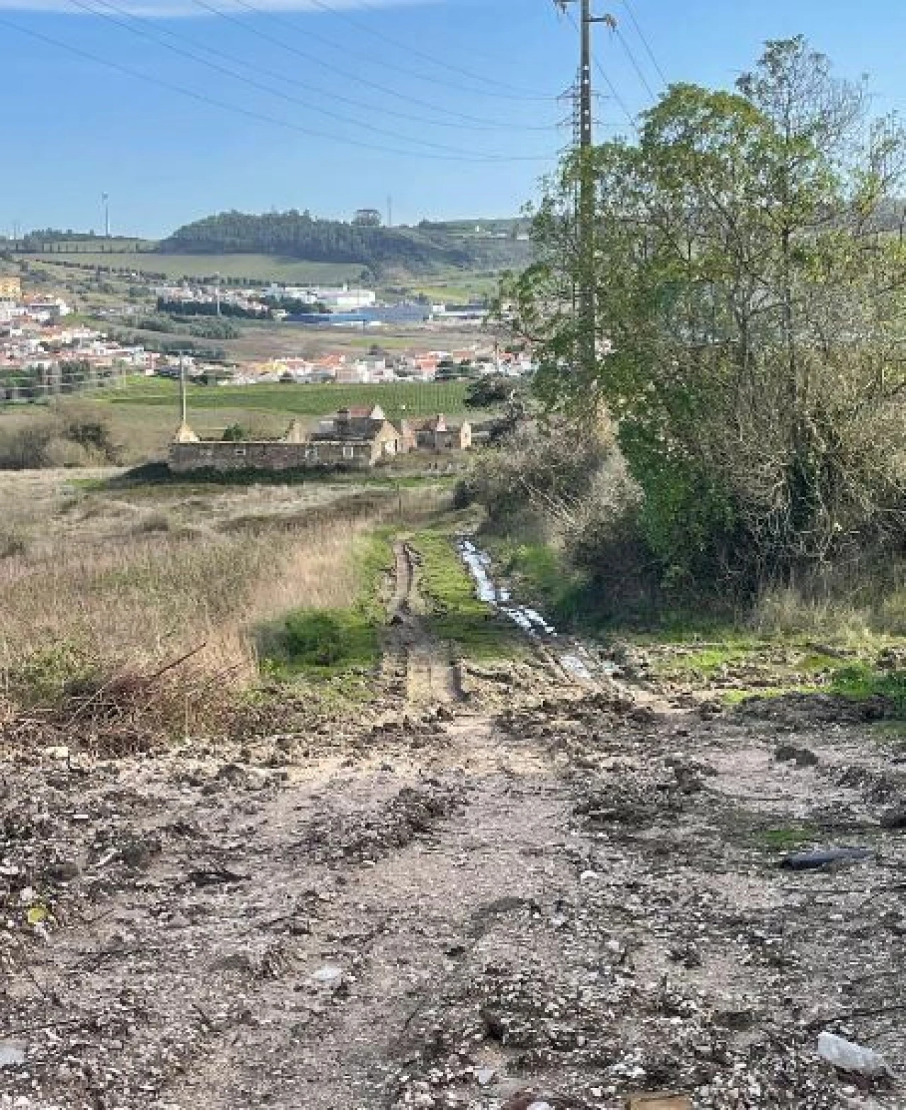 Quinta T1 para Venda em Santa Maria, São Pedro e Matacães Foto 28