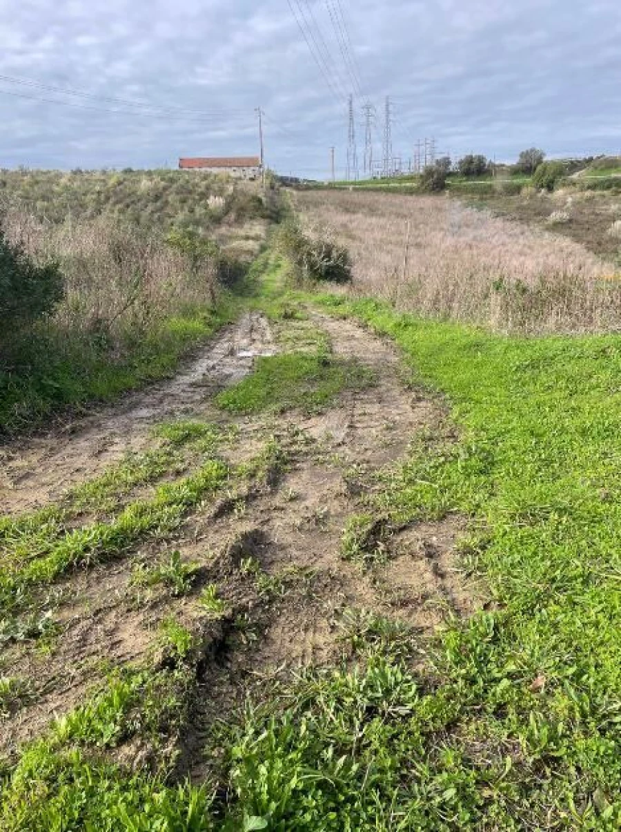 Quinta T1 para Venda em Santa Maria, São Pedro e Matacães Foto 6