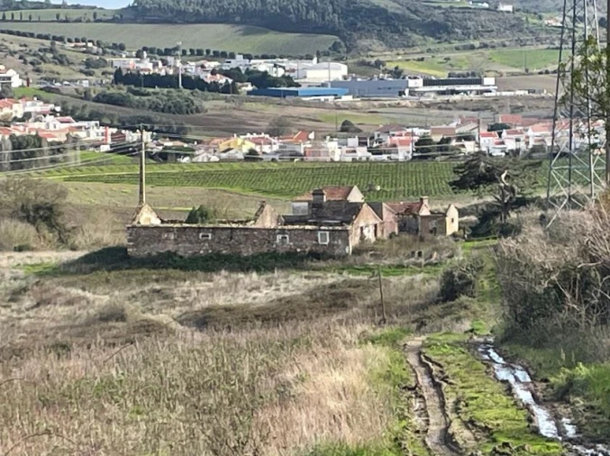 Quinta T1 para Venda em Santa Maria, São Pedro e Matacães Foto 9