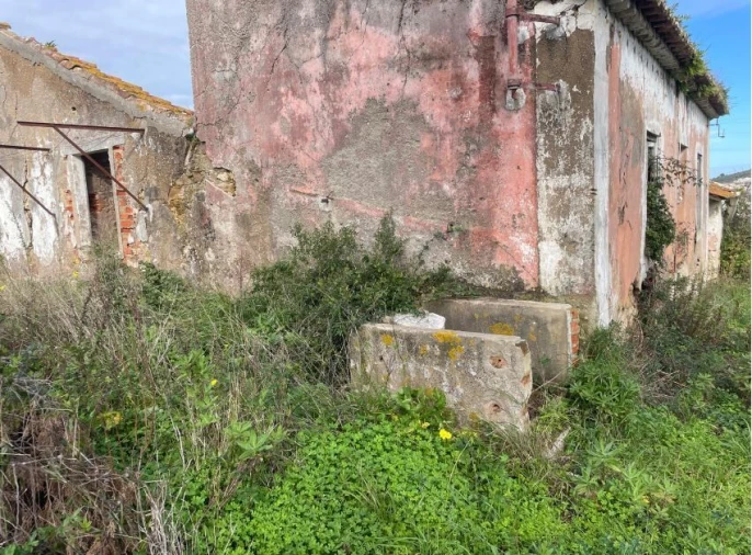 Quinta T1 para Venda em Santa Maria, São Pedro e Matacães Foto 22