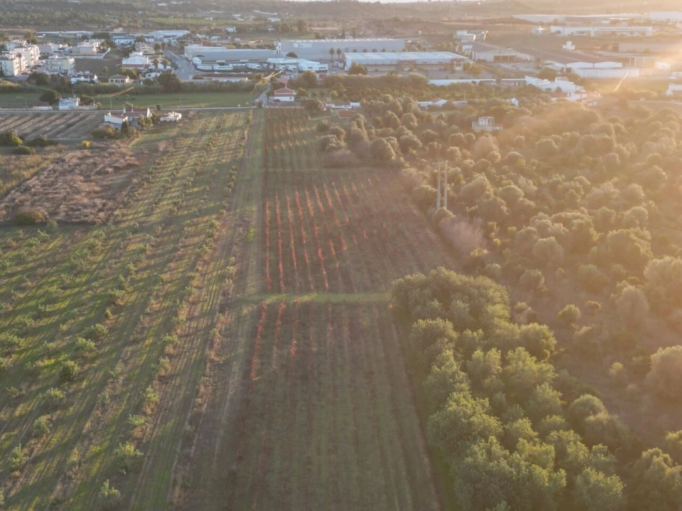 Terreno para Venda em Algoz e Tunes Foto 10