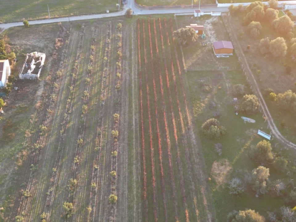 Terreno para Venda em Algoz e Tunes Foto 5
