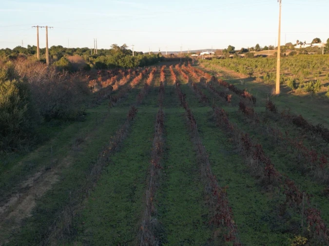 Terreno para Venda em Algoz e Tunes Foto 9