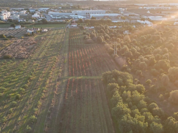 Terreno para Venda em Algoz e Tunes Foto 10