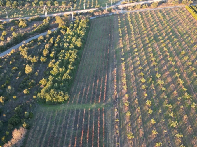 Terreno para Venda em Algoz e Tunes Foto 4