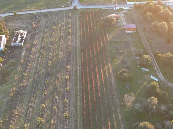 Terreno para Venda em Algoz e Tunes Foto 5