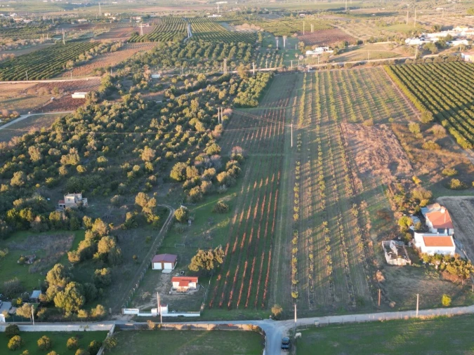Terreno para Venda em Algoz e Tunes Foto 2