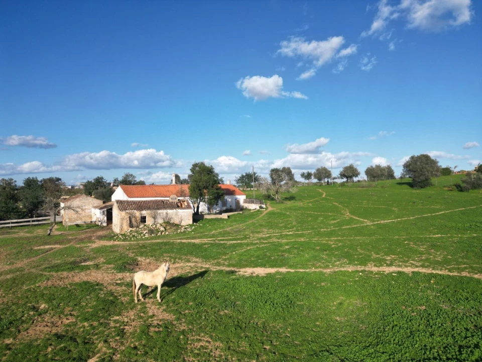 Terreno para Venda em Lagoa e Carvoeiro Foto 7