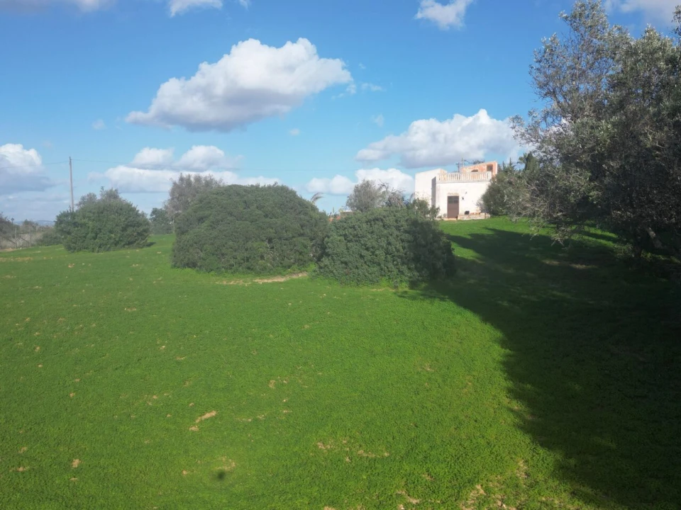 Terreno para Venda em Lagoa e Carvoeiro Foto 17