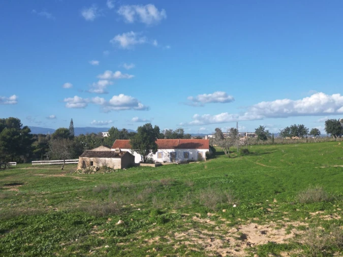 Terreno para Venda em Lagoa e Carvoeiro Foto 10
